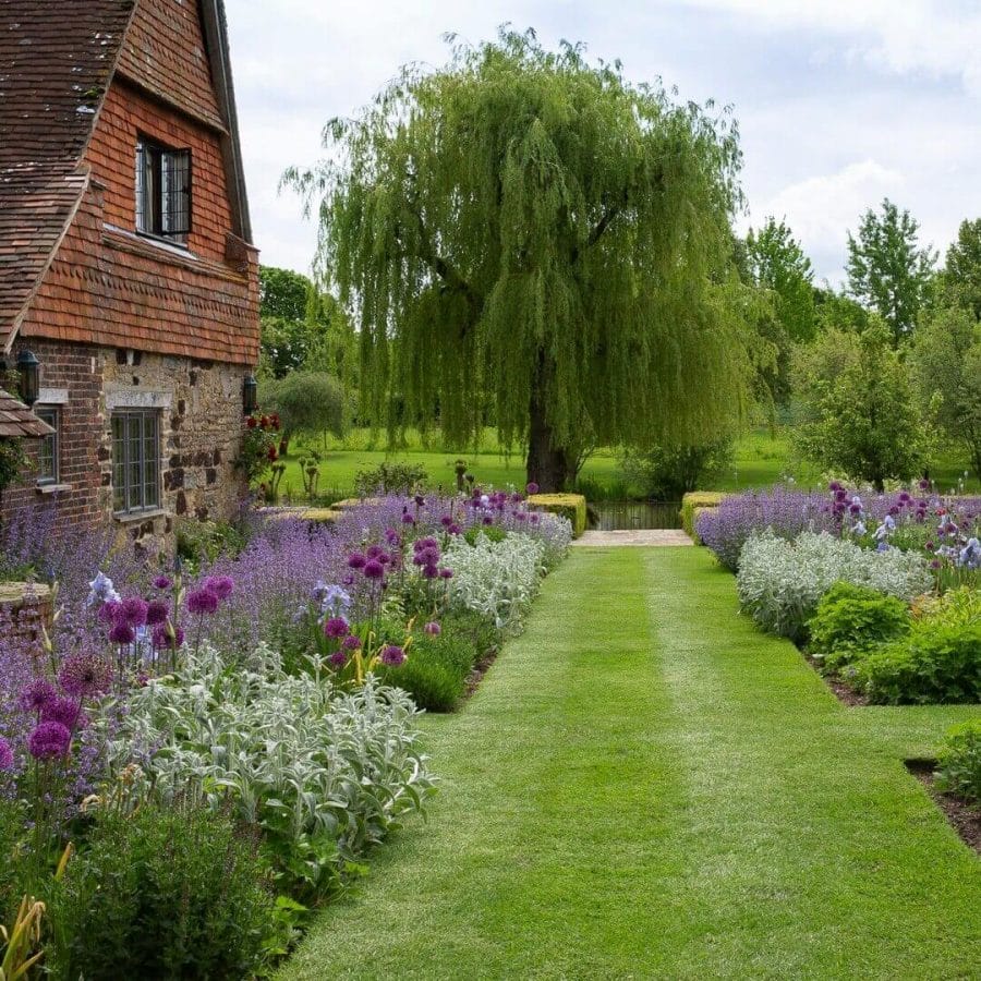 Garden pathway with a central lawn flanked by perennial flower beds of allium, lavender, and salvia, featuring a weeping willow and natural stone paving.