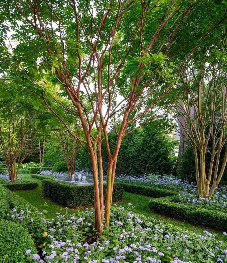 Flower landscape design featuring a central water fountain, trimmed boxwood hedges, and purple perennial plants, enhancing biodiversity and visual appeal.