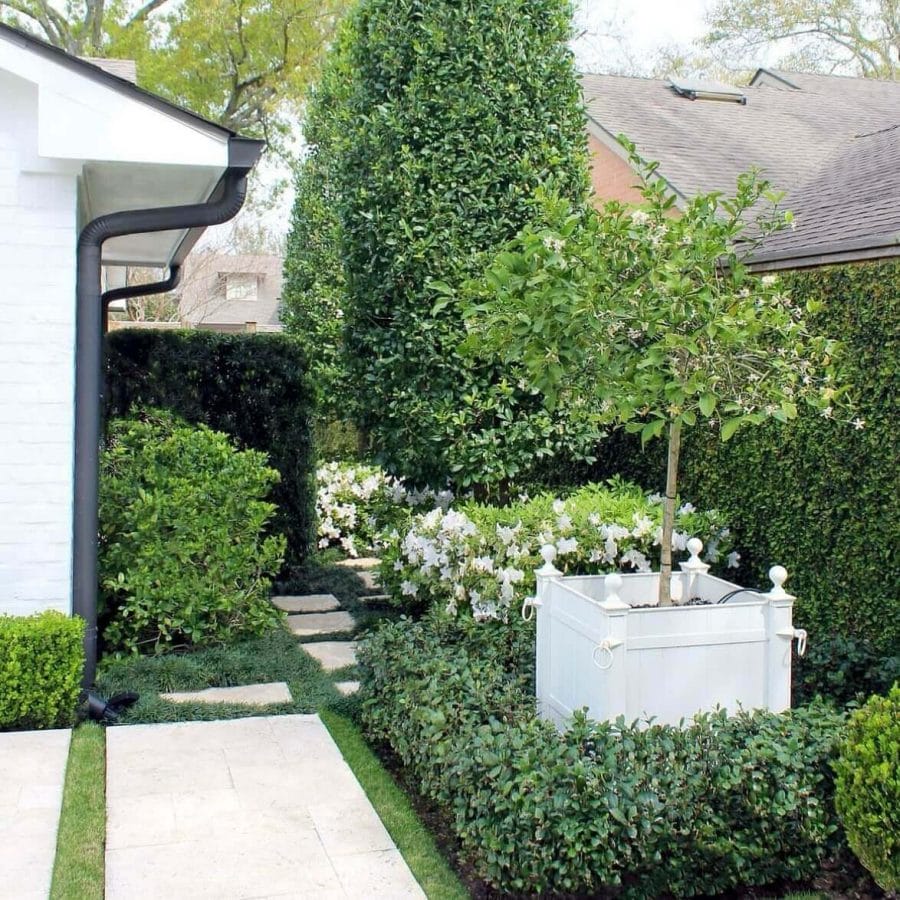 Lush flower landscape design with a granite path, vibrant azaleas, and a central ornamental tree, framed by structured boxwood hedges.