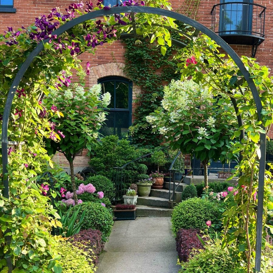 Lush garden archway with vibrant bougainvillea, stone path winding through flowering plants and decorative shrubs, layered design with varied heights.