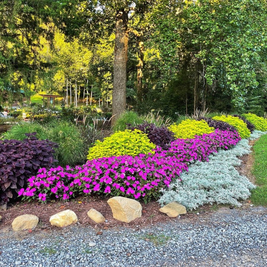 Flower landscape design is always popular, as flowers bring a colorful and fresh touch to any front yard, backyard, or garden alike. Some people prefer the all-year greens and cacti, but flowers are always a classic when you want your home to feel more welcoming for you and those who visit you.