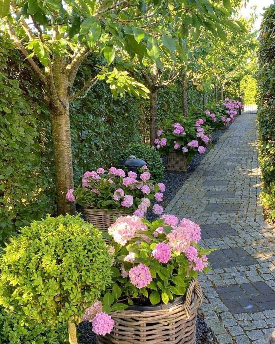 Flower landscape design is always popular, as flowers bring a colorful and fresh touch to any front yard, backyard, or garden alike. Some people prefer the all-year greens and cacti, but flowers are always a classic when you want your home to feel more welcoming for you and those who visit you.