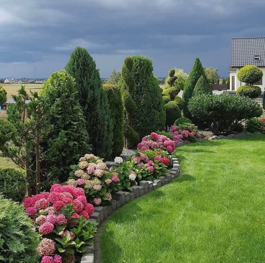 Lush hydrangeas in pink and white bordered by low stone edging, with trimmed coniferous trees in the background, enhancing curb appeal.