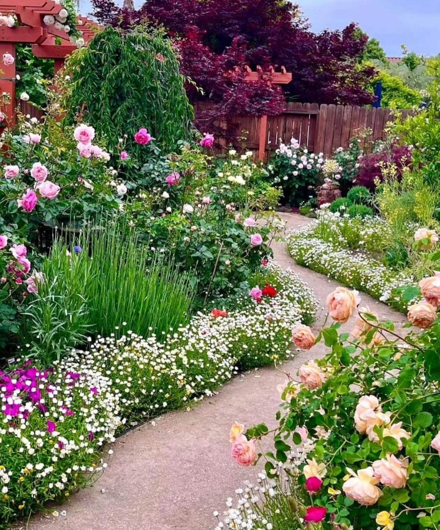 Curving pathway through a vibrant garden featuring rose bushes, ornamental plants, and lush grasses, enhancing curb appeal and accessibility.