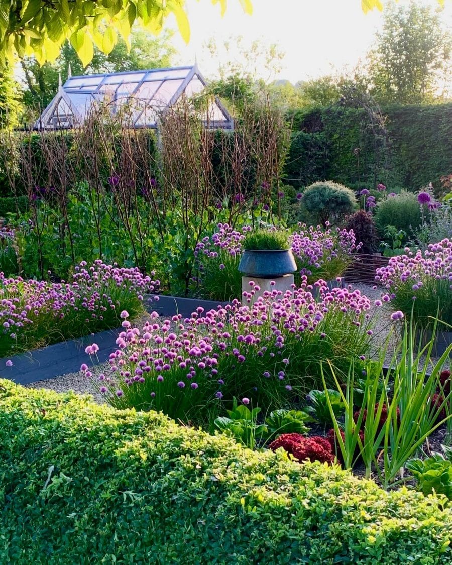 Revitalize your garden with eye-catching flower bed designs that promise vibrancy and creativity. Dive in for endless inspiration!