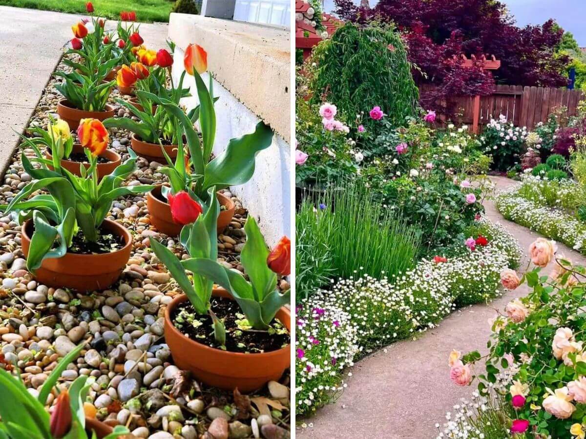 Landscape Flower Bed Ideas